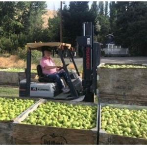 Gerry Busey, Del Monte Foods pear grower for more than 78 years.
