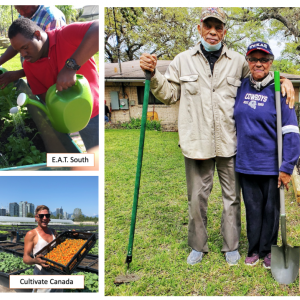 Whole Cities Foundation, a nonprofit broadening community access to fresh food and nutrition education, announced today that this fall it will award 59 Community First Grants to locally led nonprofit organizations in the U.S. and Vancouver, British Columbia.
