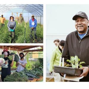 collage of people working with plants