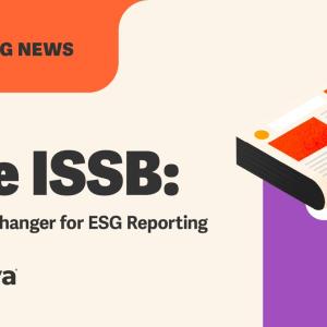 Workiva ISSB logo.