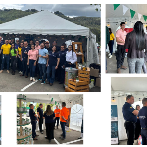 Collage of photos of group photos