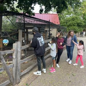 Family visiting animals in a paddock at the zoo.