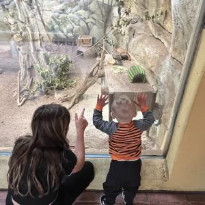 Two young children viewing birds inside of a cage at the zoo.