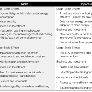 Environmental and Social Risks and opportunities