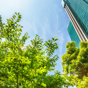 trees in front of a skyscraper
