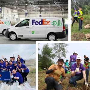 Collage of FedEx workers