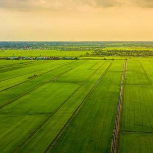 Aerial view of open fields.