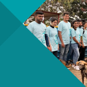 Group of volunteers with dogs