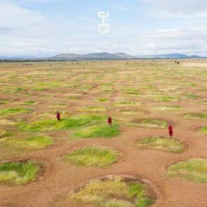 Painting of three figures in red, in an open field