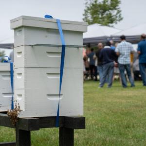 Beehives and a group gathered under a tent behind them.