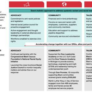 "Dow’s holistic approach to address systemic racism and racial inequality" infographic