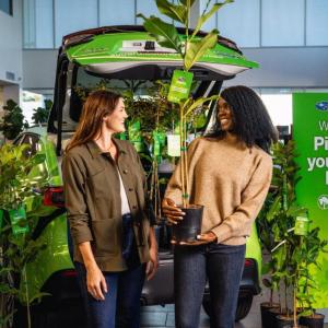 Two people by an open car trunk, one holding a small tree