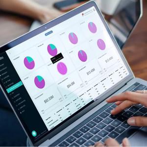 a person using a laptop, many pie charts on the screen