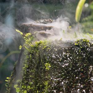 vapor rising from mossy rock