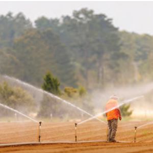 Two people standing in a field that is being watered with sprinklers
