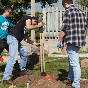 Three people using a post hole digger. "Associates in action"