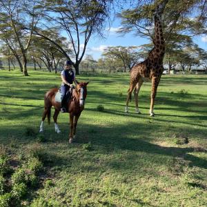 Stefanie on a horse next to a giraffe