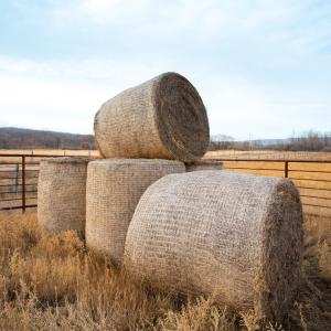 round hay bales