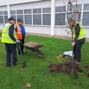 People planting a tree next to a building