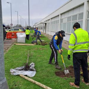 Volunteers planting trees next to a building