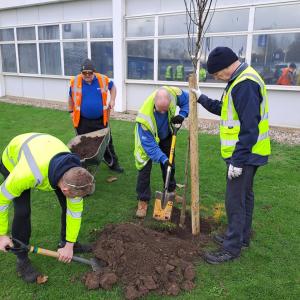 Volunteers planting a tree next to a building
