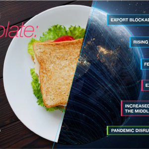 Image of half plate with sandwich and half illustration of earth. Reads: Decoding the Plate, what impacts your food and its journey to you