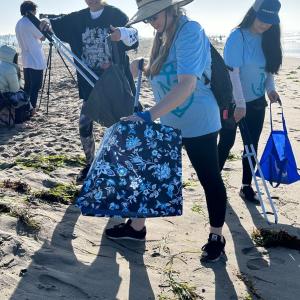 A group of volunteers cleaning up a beach.