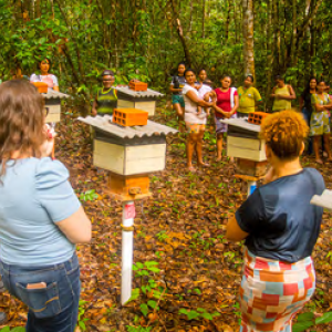 A group of people surrounding beehives on poles.