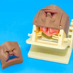 Anatomically precise training models help surgeons repeatedly practice delicate techniques and build skills before treating patients.