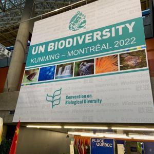 Sign that reads: "UN Biodiversity"