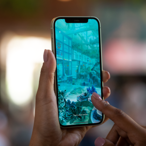 Two hands holding and interacting with a phone open to an 'underwater' scene.