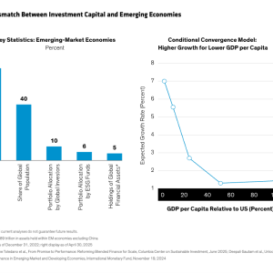 The mismatch between investment capital and emerging economies
