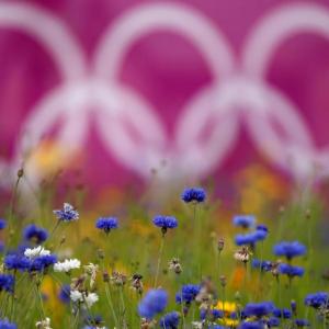 Blue flowers in a field, a faded Olympic symbol sign in the back.