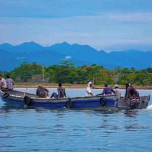 Migrants travel many miles northwards in search of better opportunities.