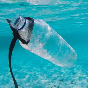 Water bottle floating in water