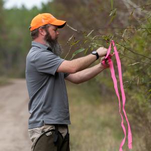 A person ties a pink ribbon to a tree branch