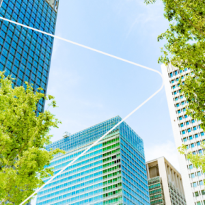 Outdoor view pointed up to the sky and tops of tall office buildings. Trees in the foreground.