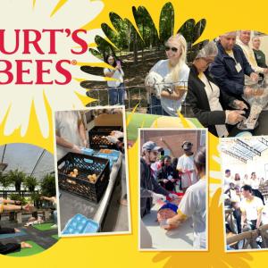 "Burt's Bees" and a collage of people doing volunteer work, yoga, and meeting together.