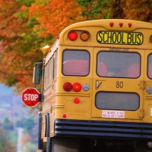School Bus