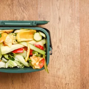 food leftovers
