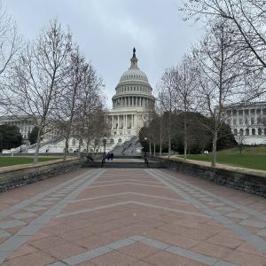 Capital building and a long walk way in front.