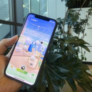 a hand holding a cell phone open to the carbon ledger app. A houseplant, filing cabinets and windows in the background