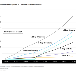 Info graph chart "Carbon Price Development in Climate Transition Scenarios" with data showing upward trends from 2020 to 2060