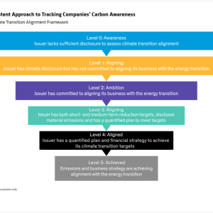 Info graphic: A Consistent Approach to Tracking Companies’ Carbon Awareness AB’s Climate Transition Alignment Framework.
