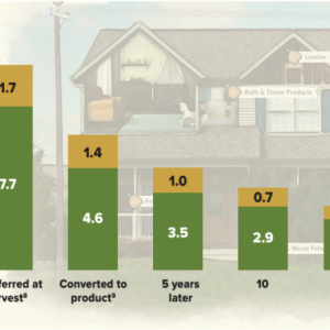 Carbon Stored in Wood Products in Use