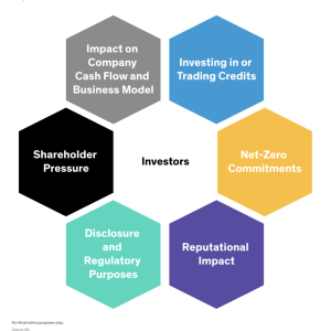 info graphic showing investors as central, with six categories surrounding " why carbon offsets matter to investors