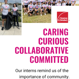 Collage of a group of volunteers posed together and others with trash bags. "Caring Curious Collaborative Committed Our interns remind us of the importance of community." 
