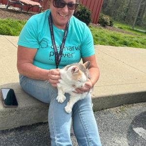 Volunteer sitting with a cat on their lap.