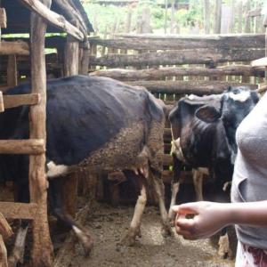 Good practices in animal keeping as well as access to knowledge, products, and services were key to Grace's success.