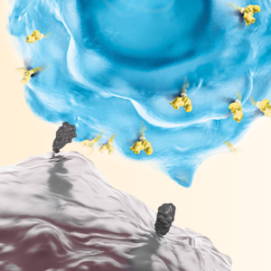 close up of two digitized cells, one blue, one gray